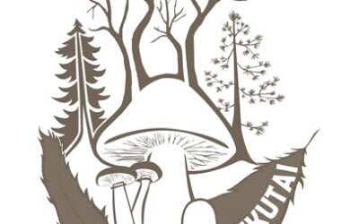 Aventure Myco Boréal