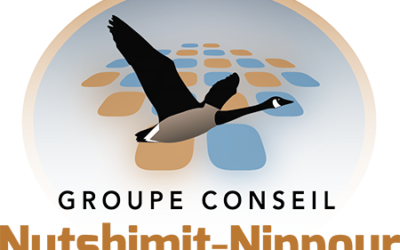 Groupe Conseil Nutshimit-Nippour